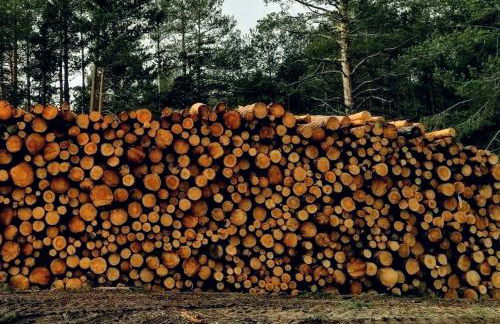 Alojamiento Rural Los Hacheros - Foto 65