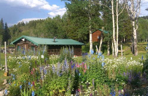 Group Vacation Rental for Family and Corporate Getaways near Glacier National Park, Montana - Foto 18