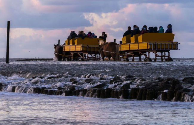Holiday Home North Sea Sand - Foto 16