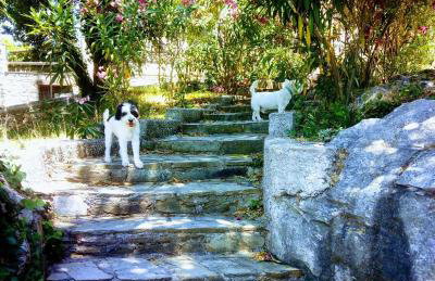 Perky Roses Home, Mountain Meets Sea in Milies, Pelion - Foto 37