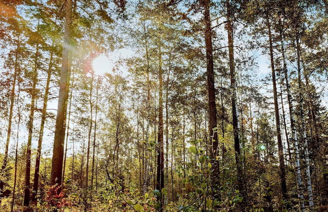 6 Person Holiday Home With Garden-by Traum - Foto 19