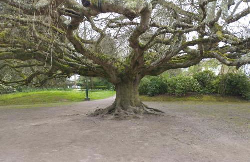 Le Mont'aide - Bayeux - 3 lits - Accessible PMR - Photo 13