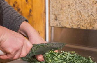 Casa da Cuca - Foto 33