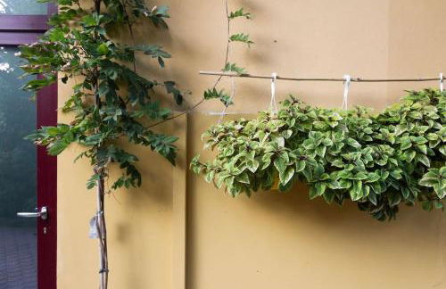 CasaSassi, Home with Outdoor living space - Photo 25