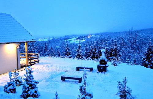 Bieszczadzka Pauza - Foto 59