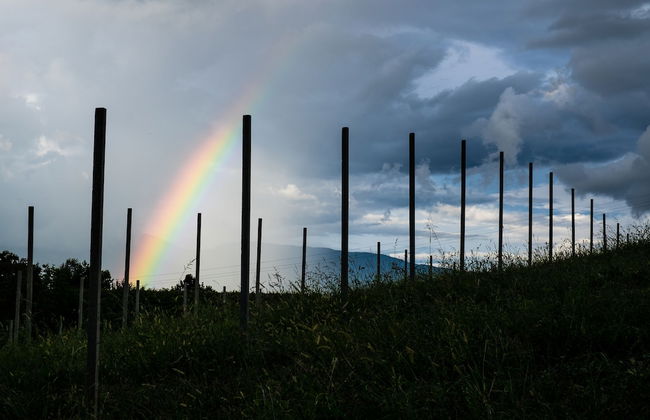 Agriturismo Le Spezie - Foto 45