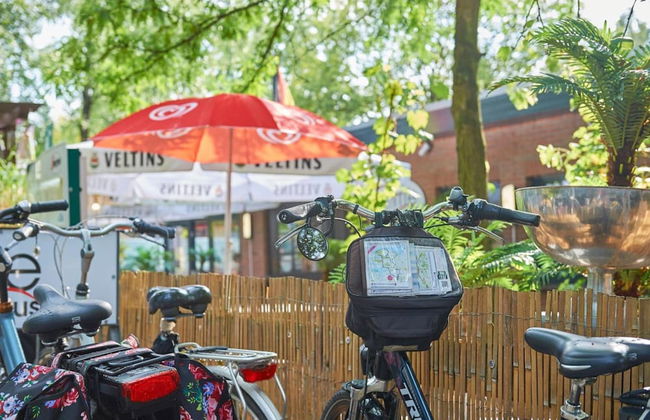 Type 4p in Uelsen With 2 Bedrooms and 1 Bathrooms - Foto 23