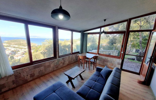 Sole Foca ( Ages 12+ ) - Foto 37