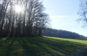 Ferienwohnung Hüppelröttchen - Foto 25