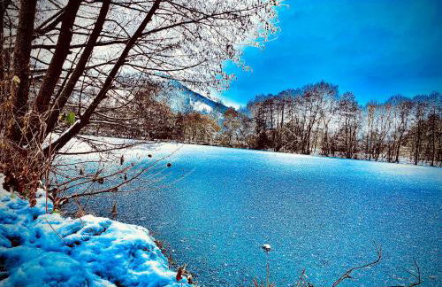 Ferienwohnung Niederlaasphe - Foto 7