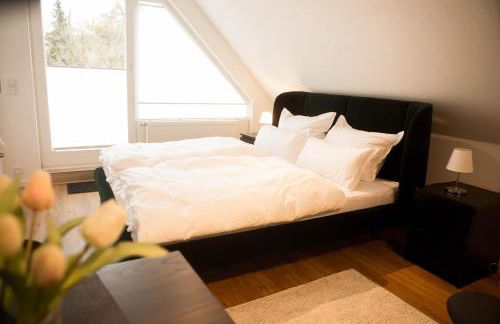 Haus Salinen Bad Rothenfelde - Foto 50