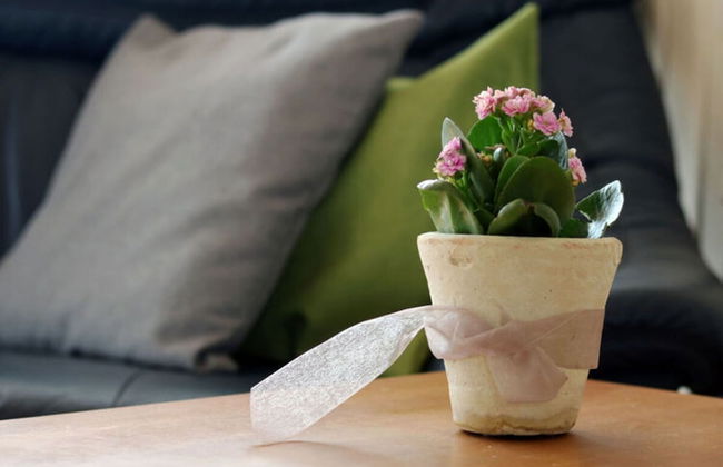 Holiday Apartment Lohr-drewes 2 - Foto 20