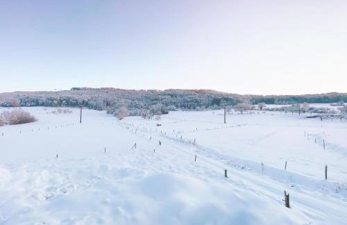 Wunderschöne helle Wohnung mit großer Dachterrasse - Foto 38