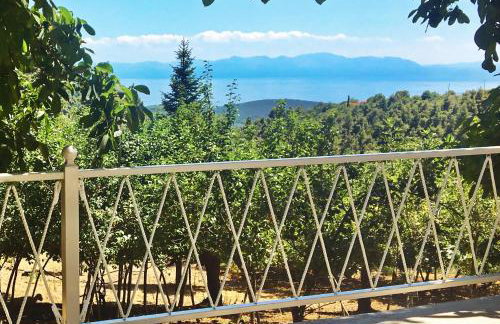 Pyrgos Country House - Foto 37