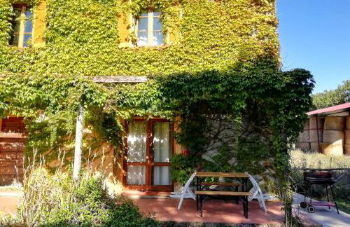 Podere Poggio Corbo - Foto 21