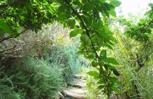 KALAMIES - Secluded Beach Apartments - Foto 41