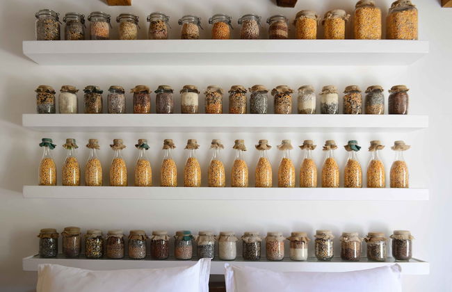 Castello di Granarola Relais – Adults Friendly - Foto 24