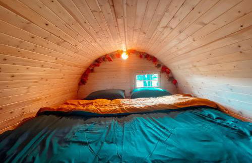 Kuhle Auszeit - Fass Sonnenblume - Foto 6