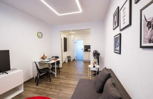 Ulmer Stadtwohnung - Foto 6