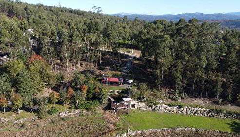 Casa do Monte da Veiga - Minho's Guest - Foto 4, Garden