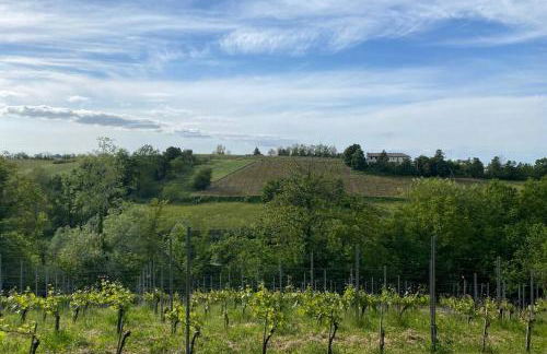 Casa intera tra le colline e le vigne del Dolcetto - Foto 17