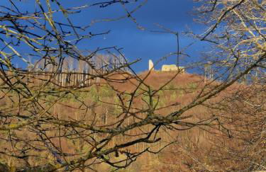 Ferienwohnung Birkental - Foto 33
