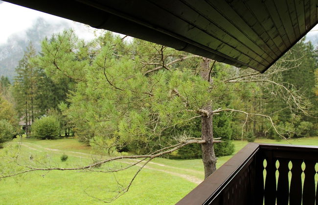 Serene Apartment in Bohinjsko Jezero near Ski Lift - Foto 12