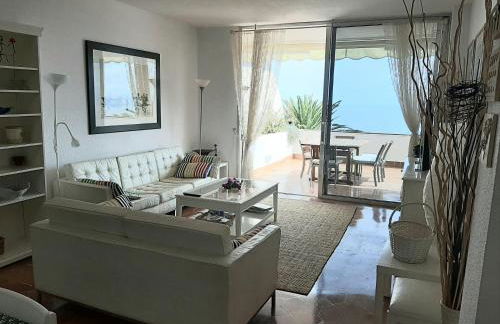 marazul del sur - Foto 3