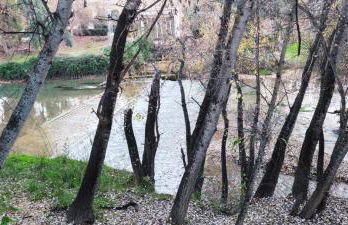 Esmeraldas Vivienda Rural - Foto 59