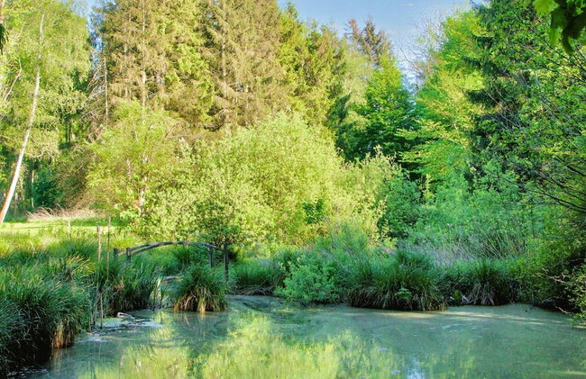 7 Person Holiday Home in Hornbaek-by Traum - Foto 30