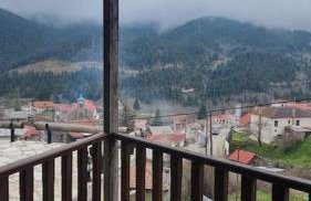 The Black Chestnut - Foto 11