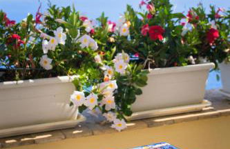 Villa Cristina -No steps-Amalfi Coast Views -Hot tube - Foto 31