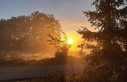 Ferienwohnungen Zum Hasenbahnhof - Photo 41