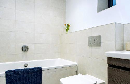 Cormorant - Photo 16