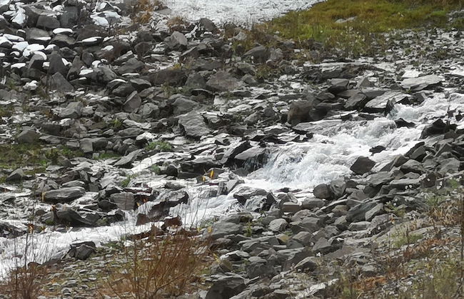 Ferienhof Schmickerath - Foto 40