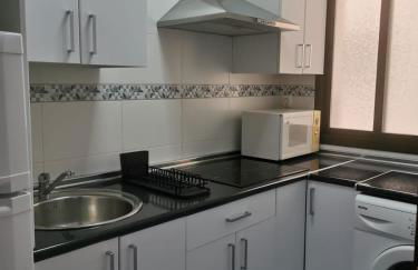 Apartamento Edificio Carruaje - Foto 9