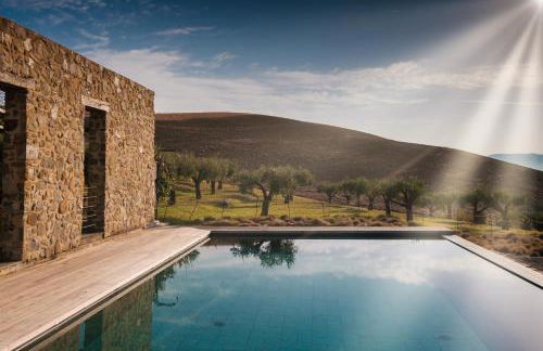 Podere San Pasquale - La Vigna - Foto 26