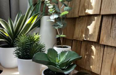 Castor Coquin Aubagne Cassis Aix en Provence - Foto 6