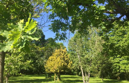 Happy hill - appartamento Quercia - natura e relax - Foto 30