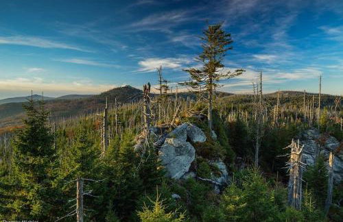 Cozy I Blockhütte im Nationalpark I Ferienwohnung - Foto 28