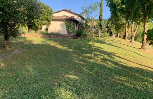 Villa Il Turchetto - Foto 48