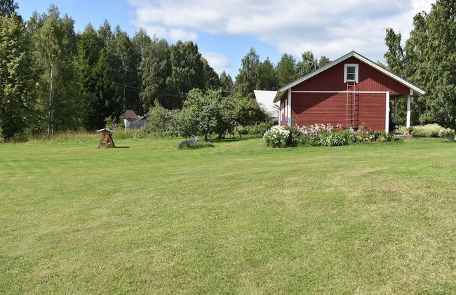 Karjalan Helmi - Foto 8