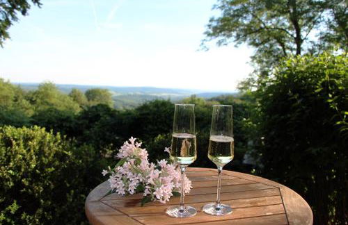 Ferienhaus Vogelsbergblick, Fernblick, Sauna, Kamin, 1700m eingezäunt in Alleinlage - Foto 17