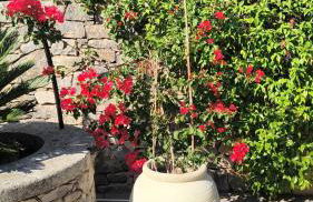 La Cartagène - charmant appartement entouré de nature - Photo 2