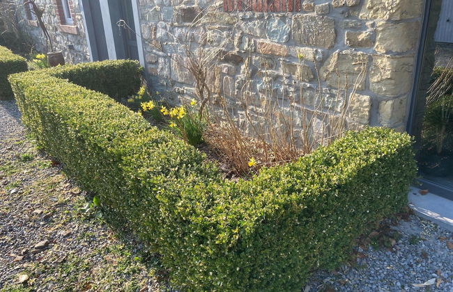 Holiday Home With Sauna in Sourbrodt - Photo 35