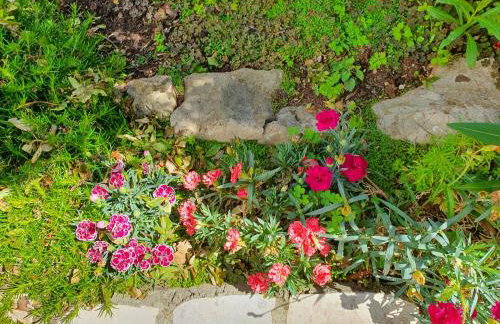 Apartments Olivia & Navy, Šilo - Photo 39