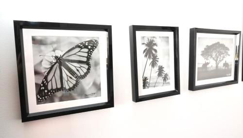 Cosy's Olivier - Foto 2