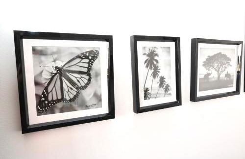 Cosy's Olivier - Foto 2