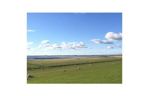 Holiday home in Lankau with swimming pool - Foto 19