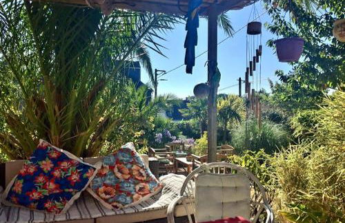 La Breizh'îlienne - Photo 7